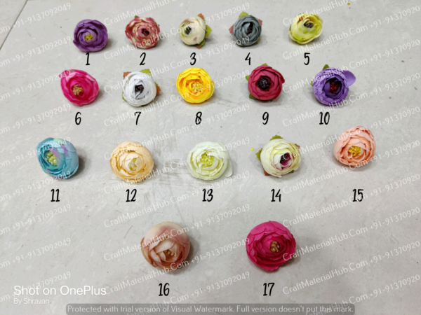 Peonies - Medium (50 pcs)