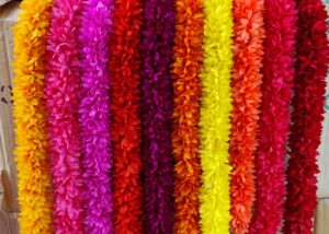 Fluffy Flower Line