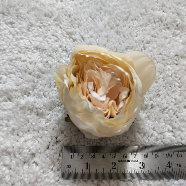 Peonies - Extra Large (12 pcs) - Image 2