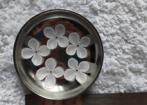 4 Petal Flower