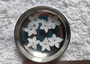 5 Petal Flower