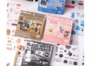 Salt Style PET Sticker Book