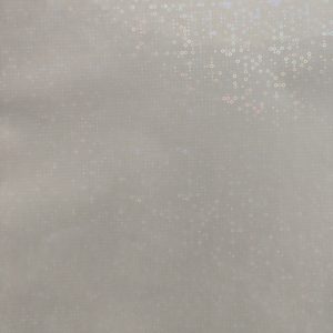 Hoops Holographic Sheet