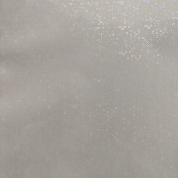 Hoops Holographic Sheet