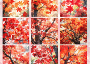 Material Papers - Maple Flame Forest Theme