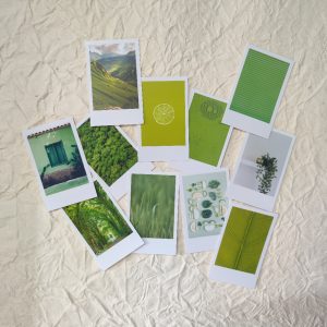 Mini Photos - Green Themed