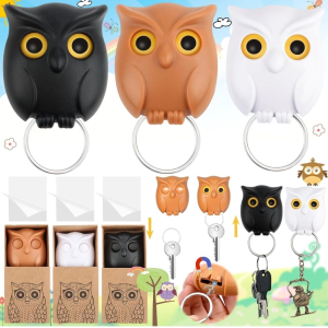 Owl Key Holder