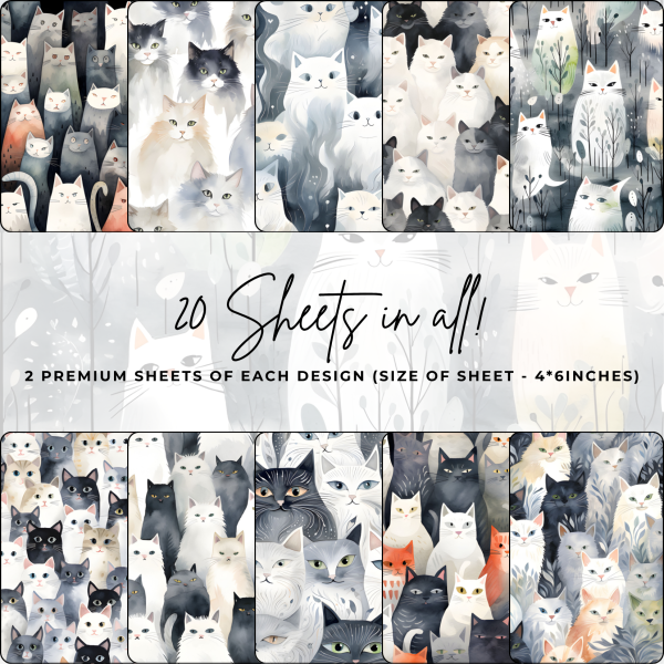Signature Material Paper - Whimsical Cats