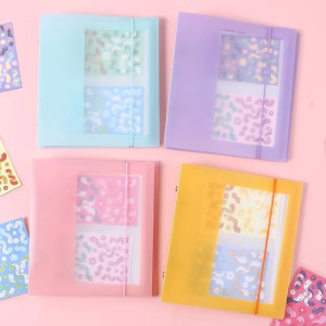 Colorful Binder Sticker Organizer