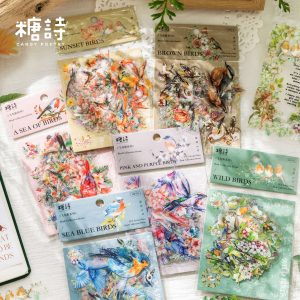 Bird Collection PET Stickers
